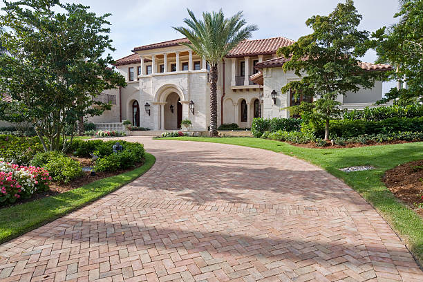 Best Driveway Paving Contractor  in Greenville, NC