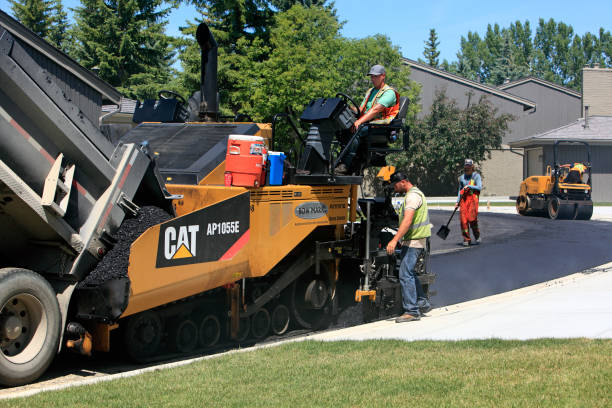 Best Driveway Pavers for Homes  in Greenville, NC